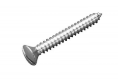 RAISED COUNTERSUNK SLOTTED