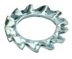 EXTERNAL TOOTH